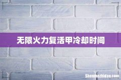 无限火力复活甲冷却时间