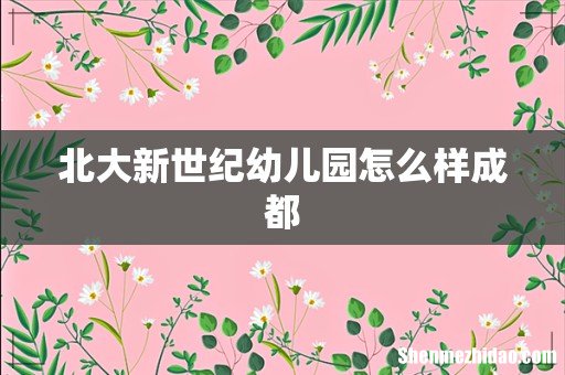 北大新世纪幼儿园怎么样成都