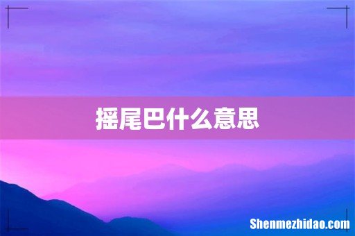 摇尾巴什么意思