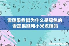 雪莲果煮粥为什么是绿色的 雪莲果能和小米煮粥吗