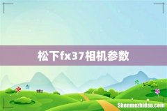 松下fx37相机参数