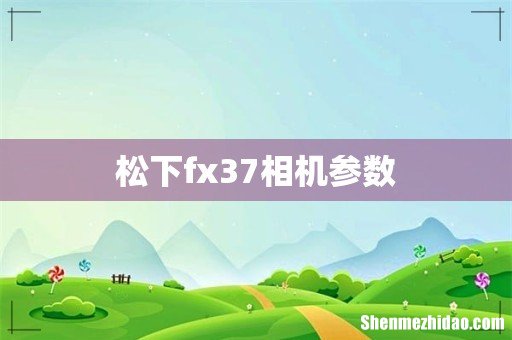 松下fx37相机参数
