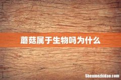 蘑菇属于生物吗为什么