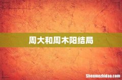 周大和周木阳结局