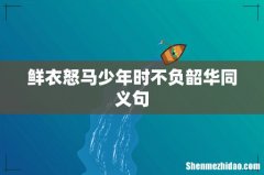 鲜衣怒马少年时不负韶华同义句