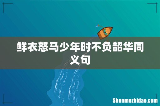 鲜衣怒马少年时不负韶华同义句