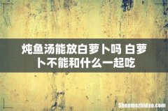 炖鱼汤能放白萝卜吗 白萝卜不能和什么一起吃