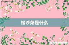 松沙菜是什么