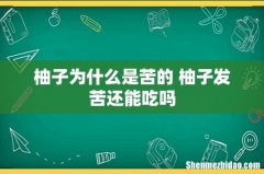 柚子为什么是苦的 柚子发苦还能吃吗