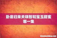 卧底归来关晓智和宝玉甜蜜哪一集