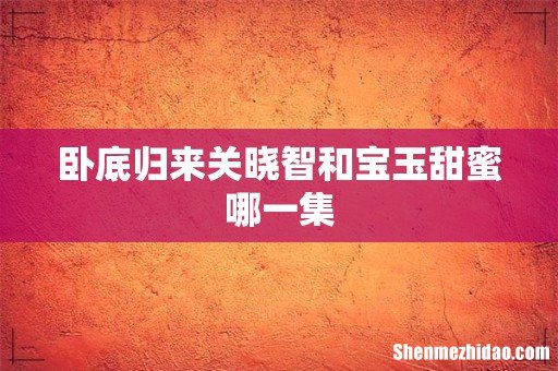 卧底归来关晓智和宝玉甜蜜哪一集
