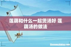 莲藕和什么一起煲汤好 莲藕汤的做法