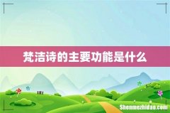 梵洁诗的主要功能是什么