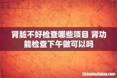 肾脏不好检查哪些项目 肾功能检查下午做可以吗
