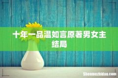 十年一品温如言原著男女主结局