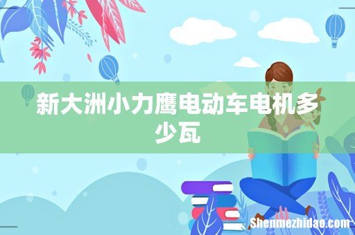 新大洲小力鹰电动车电机多少瓦
