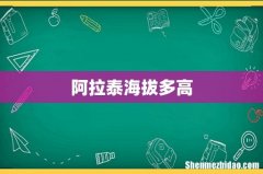 阿拉泰海拔多高