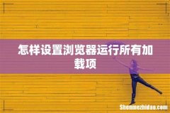 怎样设置浏览器运行所有加载项
