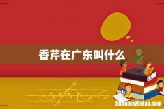 香芹在广东叫什么