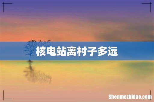 核电站离村子多远