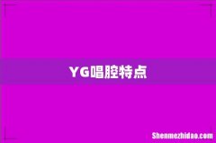YG唱腔特点