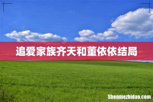 追爱家族齐天和董依依结局