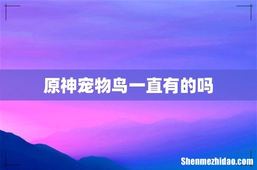 原神宠物鸟一直有的吗