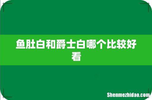 鱼肚白和爵士白哪个比较好看