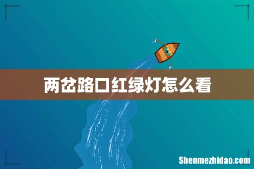 两岔路口红绿灯怎么看