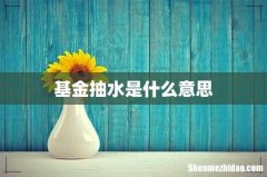 基金抽水是什么意思