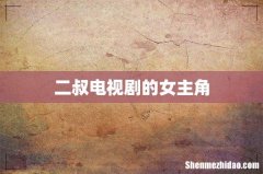 二叔电视剧的女主角
