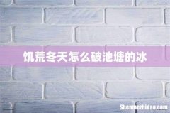 饥荒冬天怎么破池塘的冰