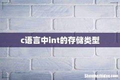 c语言中int的存储类型
