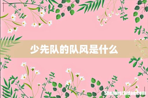 少先队的队风是什么