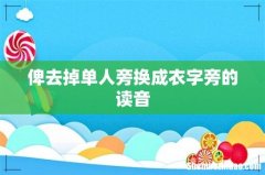 俾去掉单人旁换成衣字旁的读音