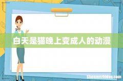 白天是猫晚上变成人的动漫