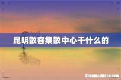 昆明散客集散中心干什么的