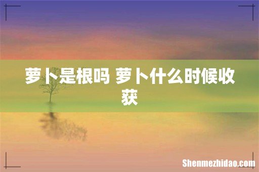 萝卜是根吗 萝卜什么时候收获