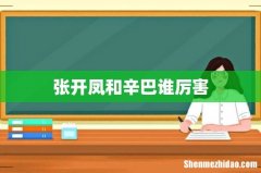 张开凤和辛巴谁厉害