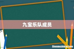 九宝乐队成员