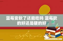 蓝莓变软了还能吃吗 蓝莓软的好还是硬的好