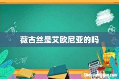 薇古丝是艾欧尼亚的吗