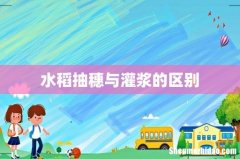 水稻抽穗与灌浆的区别