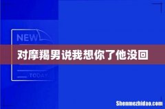 对摩羯男说我想你了他没回