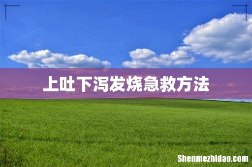 上吐下泻发烧急救方法