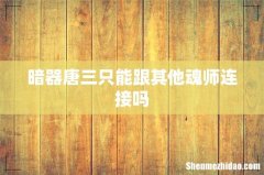暗器唐三只能跟其他魂师连接吗