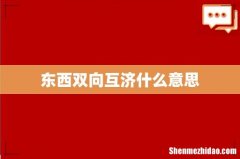 东西双向互济什么意思