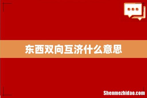 东西双向互济什么意思