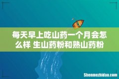 每天早上吃山药一个月会怎么样 生山药粉和熟山药粉哪个好