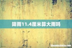 降雨11.4厘米算大雨吗